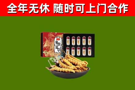 冷水江市烟酒回收冬虫夏草礼盒.jpg